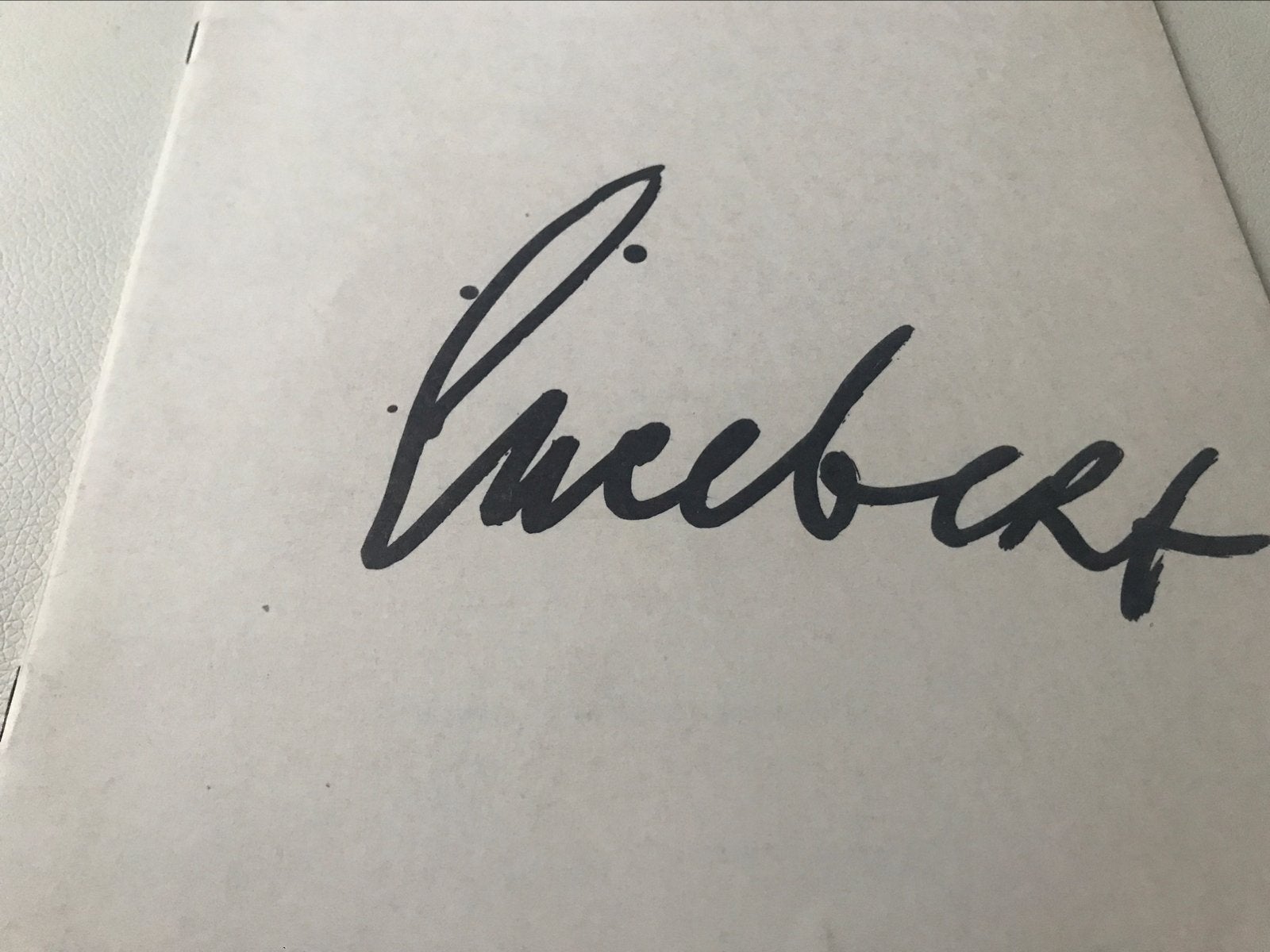 Lucebert schilderijen tekeningen 30pag Cobra, Boeken, Ophalen of Verzenden, Zo goed als nieuw, Schilder- en Tekenkunst