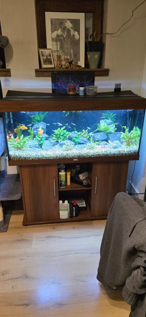 Aquarium juwel rio 240 L, Enlèvement, Eheim
