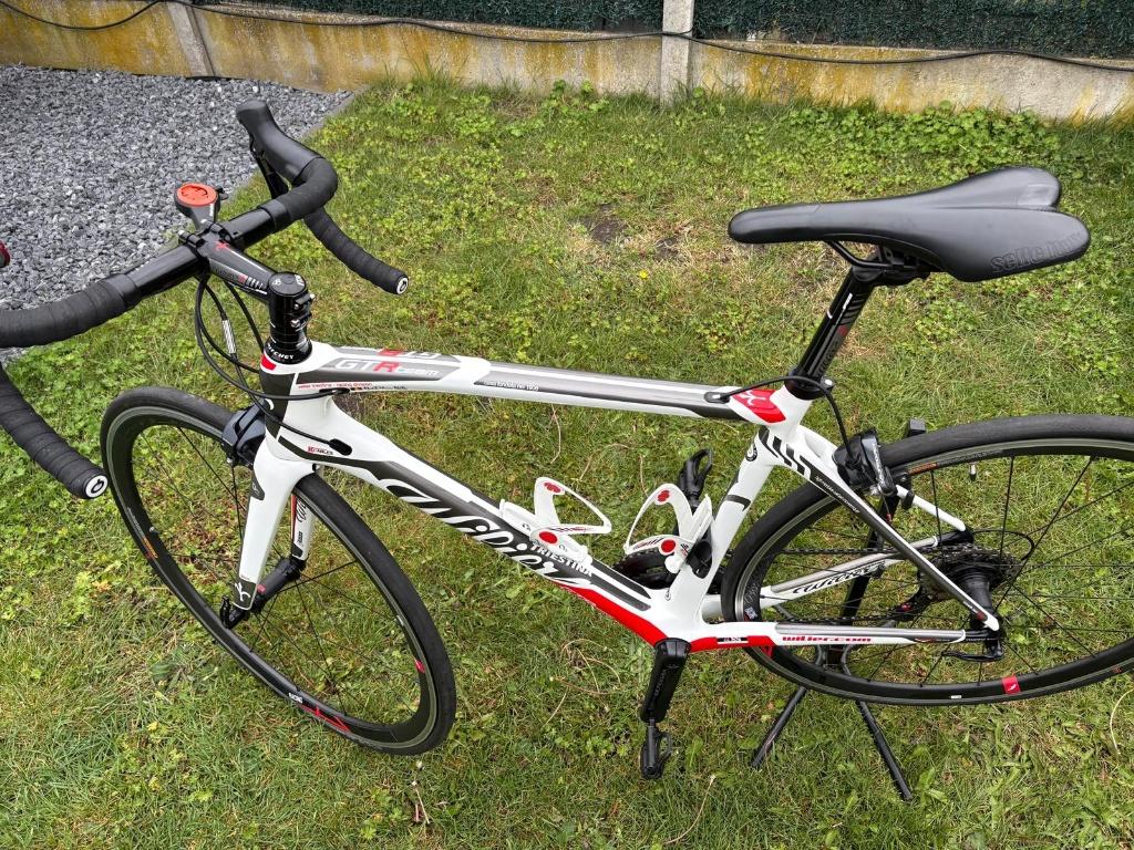 Willier Triestina- racing division GTRteam maat M, Fietsen en Brommers, Fietsen | Racefietsen, 28 inch, Carbon, Zo goed als nieuw