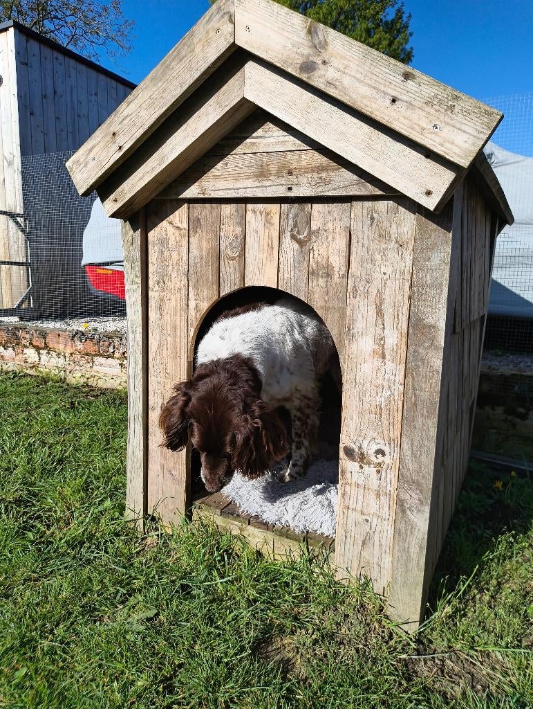 Houten Hondenhok, Dieren en Toebehoren, Hondenhokken, Ophalen, Gebruikt, 65 tot 100 cm, Hondenhok
