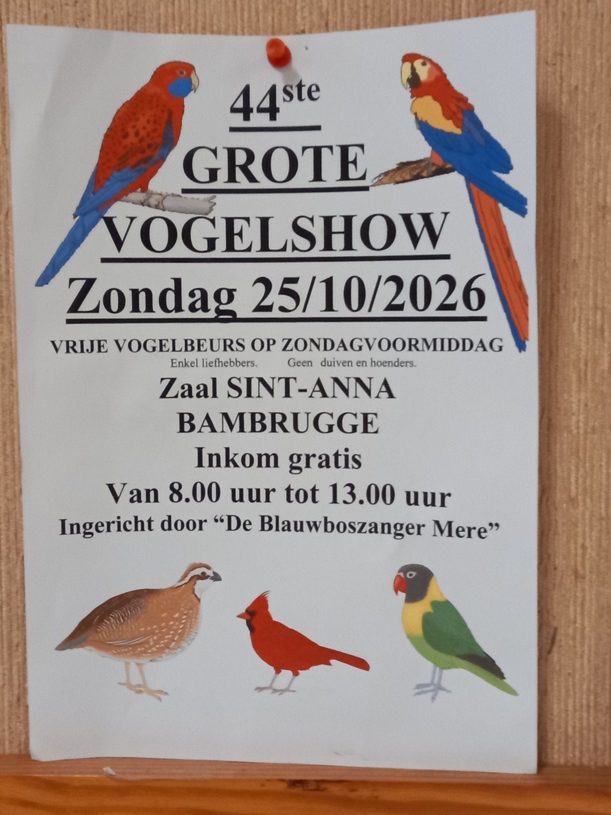 aanstaande zondag vogelbeurs 25/10/26
