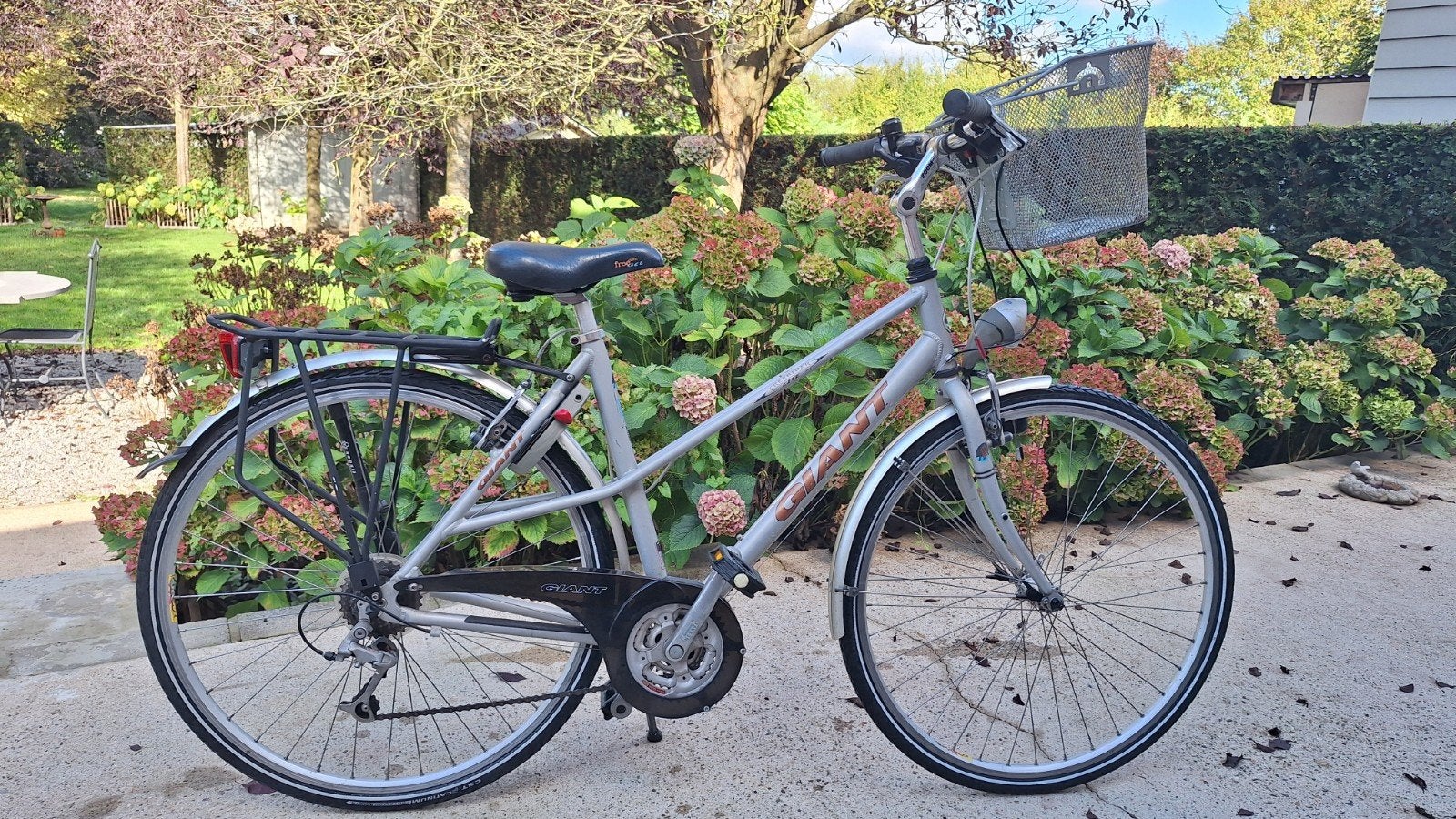 Damefiets merk Giant Freerider maar 50, Enlèvement, Giant