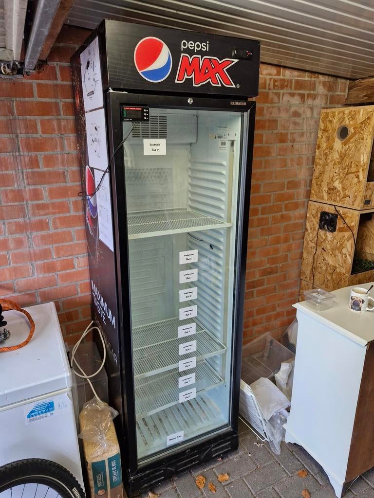 Incubateur - Réfrigérateur Pepsi transformé en incubateur, Enlèvement, Comme neuf, Incubateur ou Couveuse