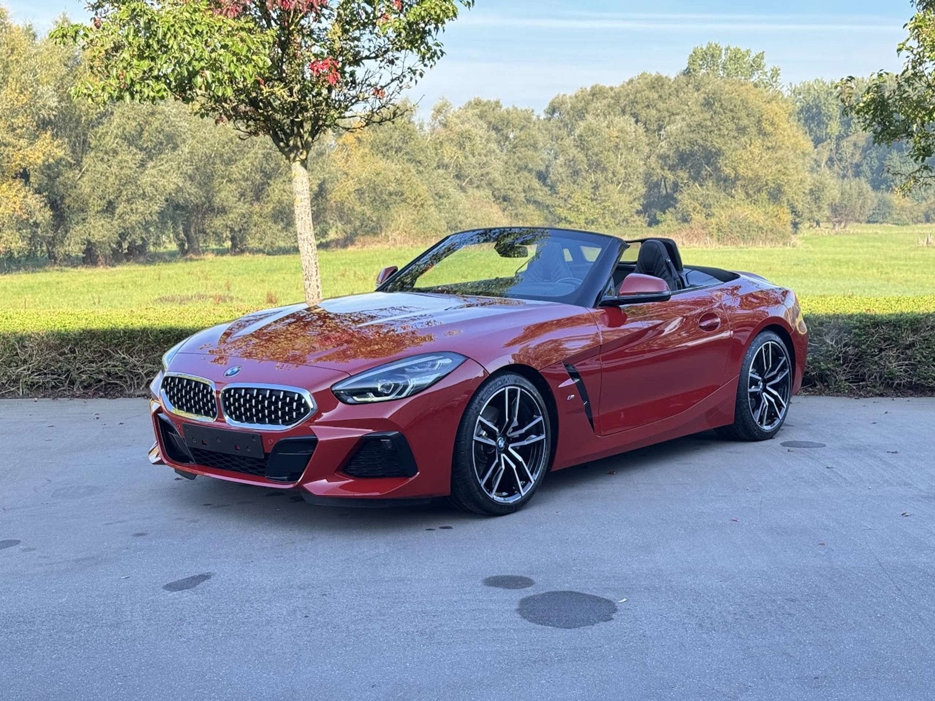 BMW Z4 sDrive20i M Sport / LEDER / CAM / CARPLAY / VERW ZETE, Rouge, Euro 6, Entreprise, Noir