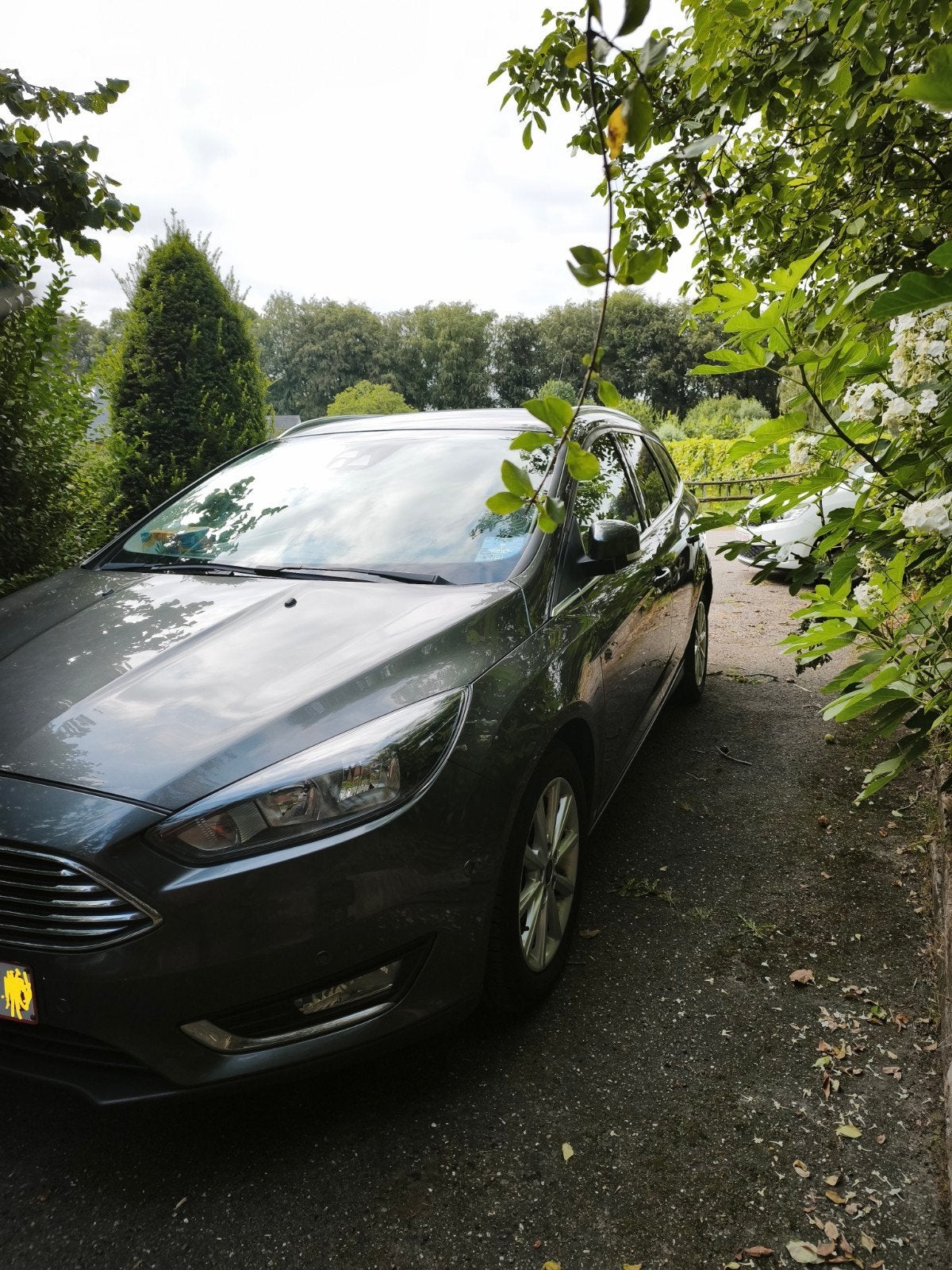 FORD FOCUS euro 6b., Auto's, Ford, Stof, Euro 6, Bedrijf, Zilver of Grijs