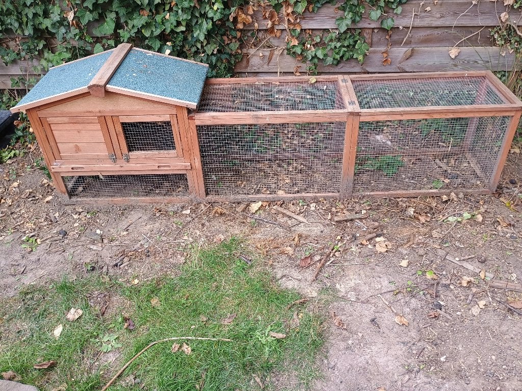 Konijnenhok, Dieren en Toebehoren, Ophalen, Cavia
