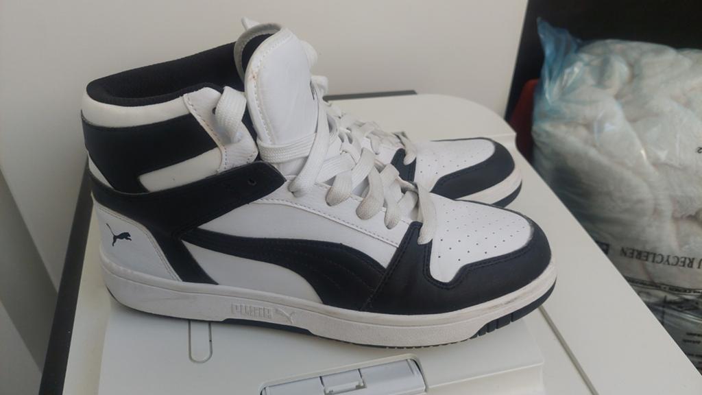 Puma basketters, Ophalen