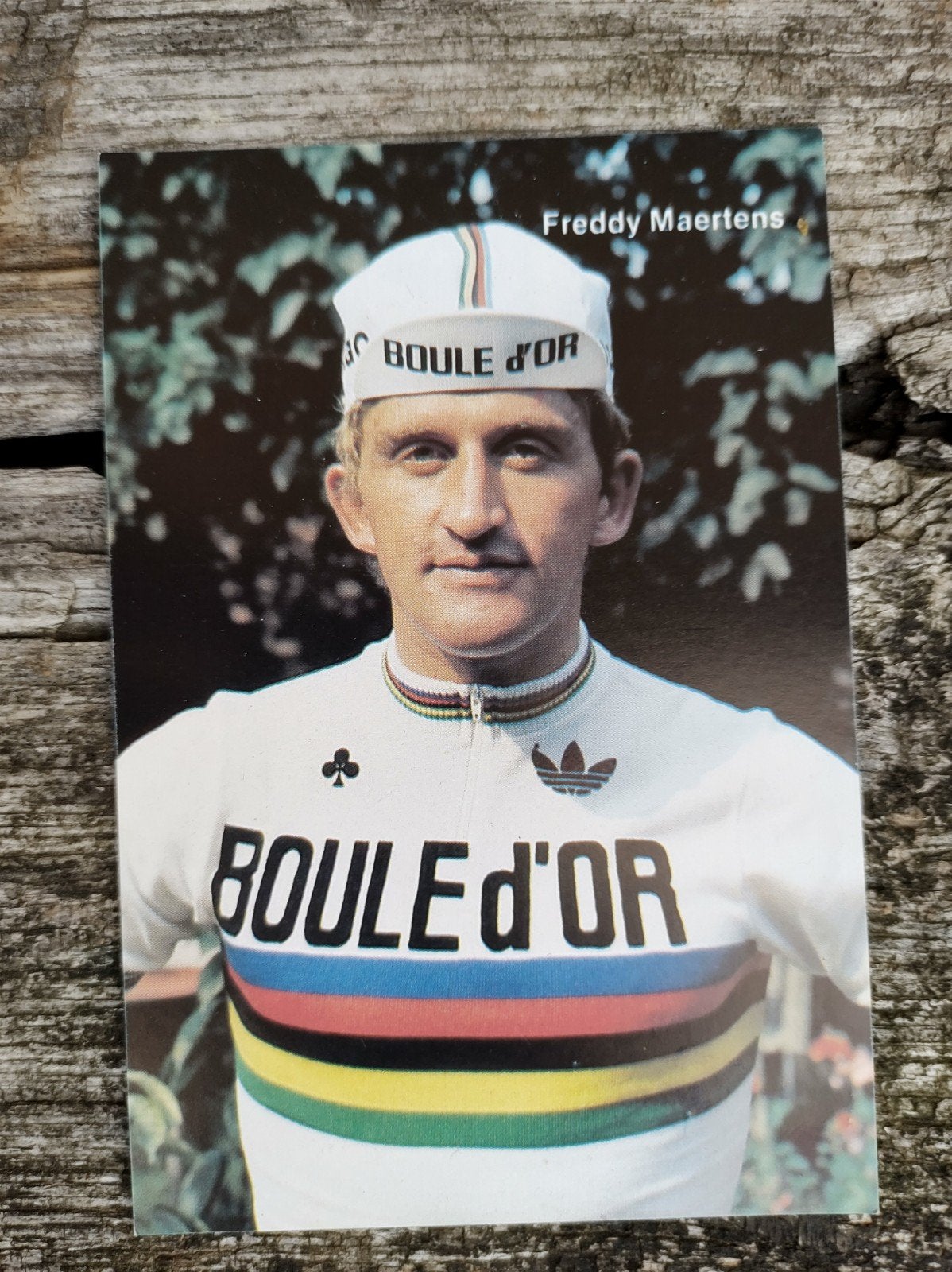 Freddy Maertens wereldkampioen 1982, Verzamelen, Ophalen of Verzenden, Nieuw