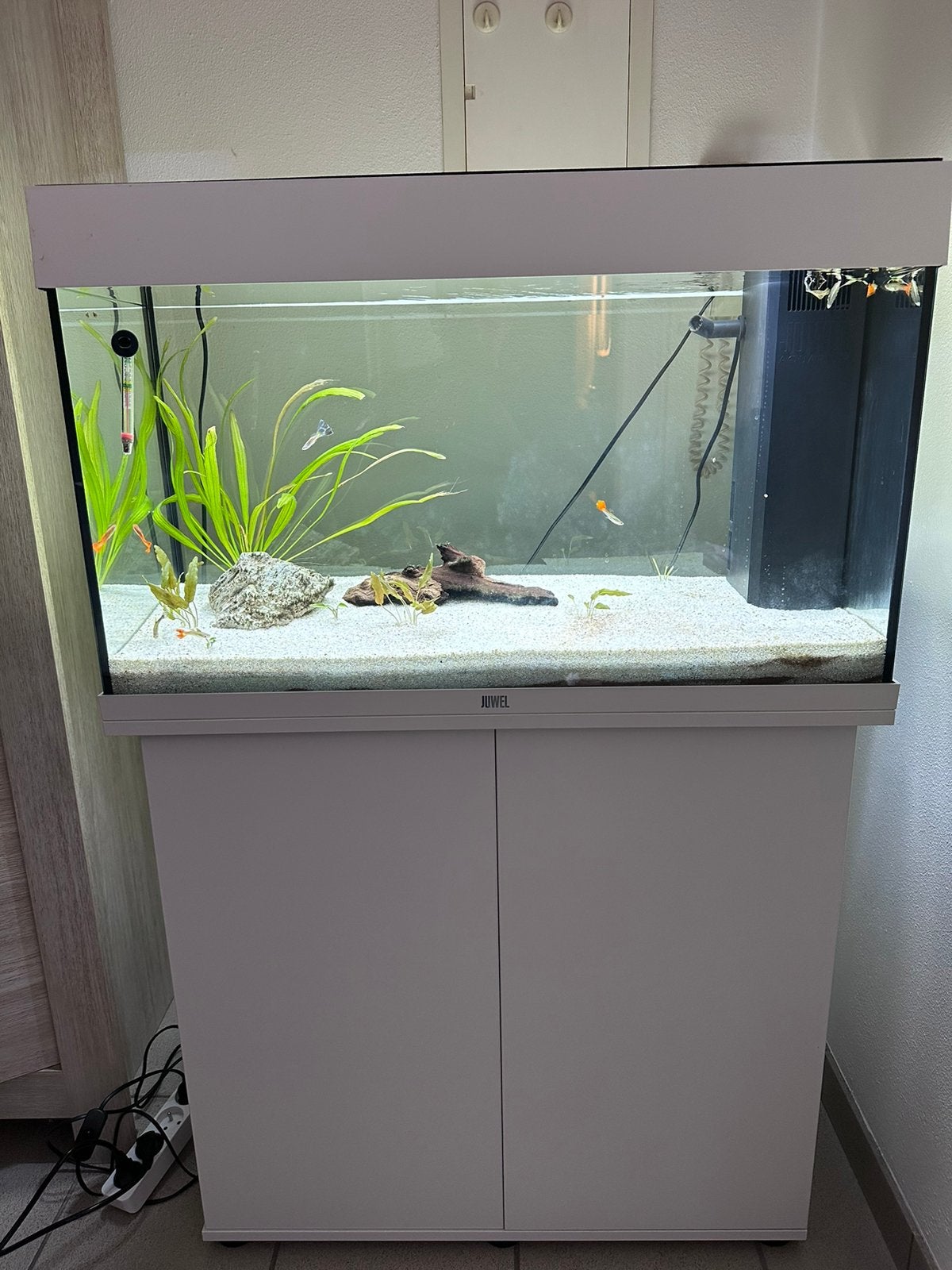 Aquarium juwel rio 125, Pompe, Aquarium vide, Enlèvement, Utilisé