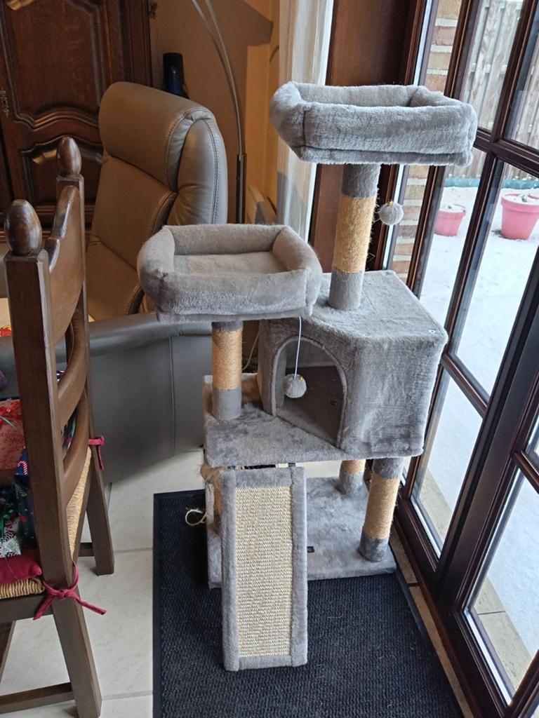 arbre pour chat, Enlèvement, Utilisé, Griffoir