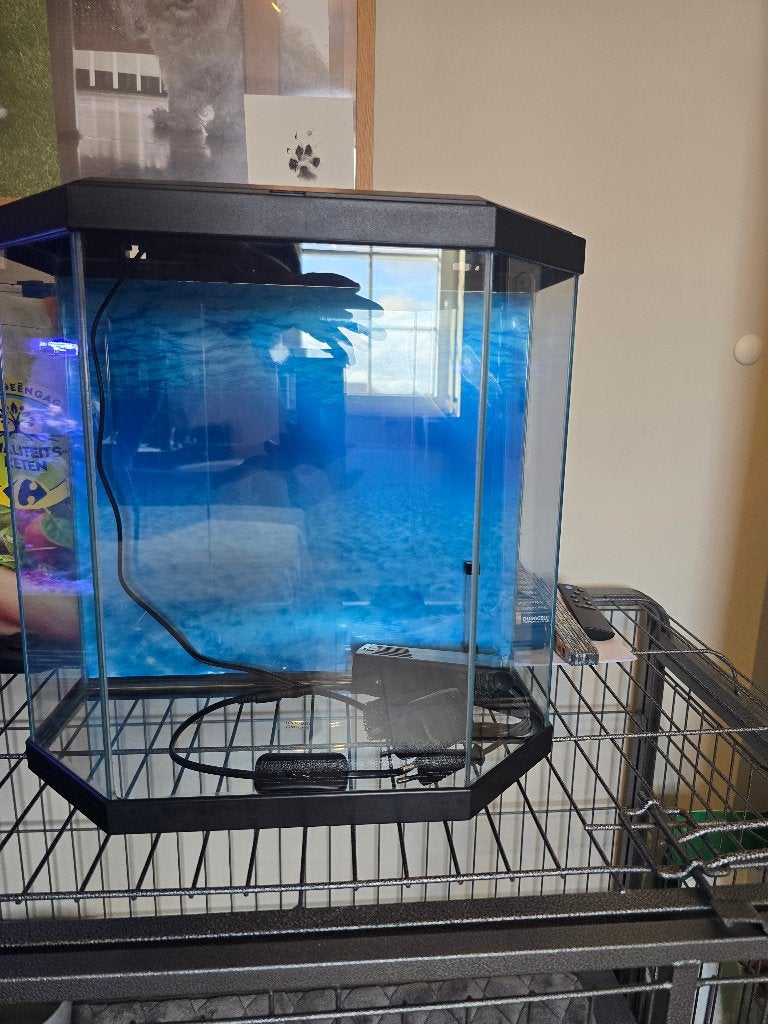kleine aquarium 30L, Ophalen, Inclusief deksel, Gebruikt, Filter