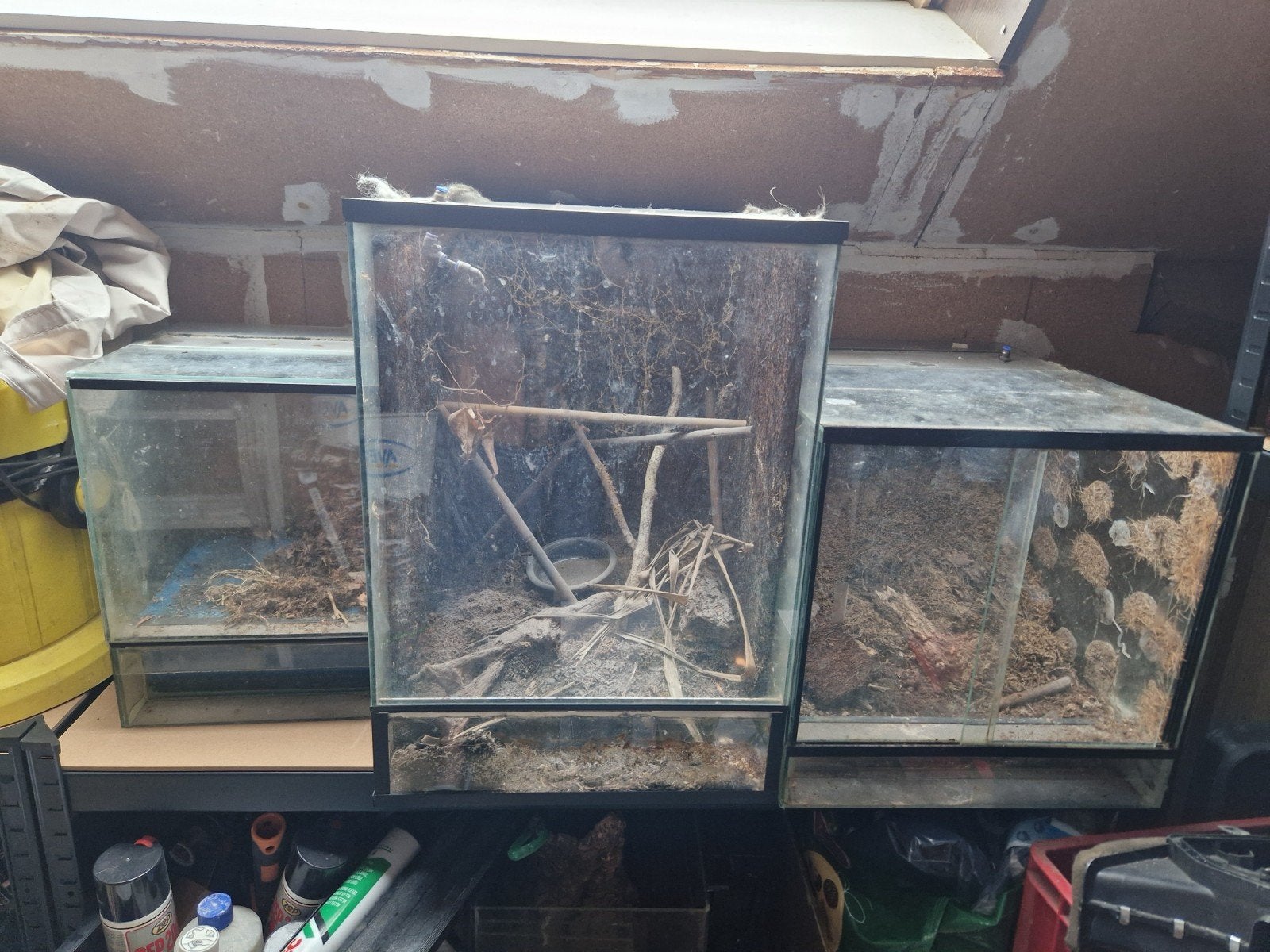 3x paludarium/terrarium, Dieren en Toebehoren, Ophalen