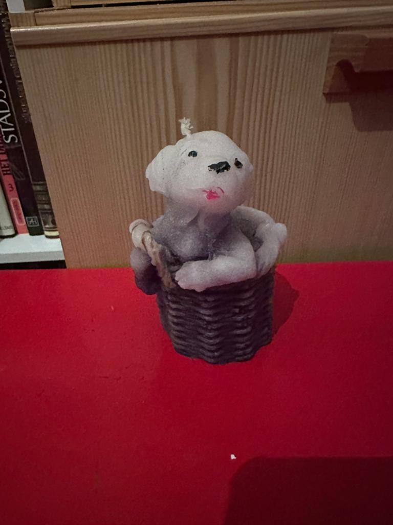 Bougie Chien dans un panier, Moins de 25 cm, Autres couleurs, Comme neuf, Enlèvement