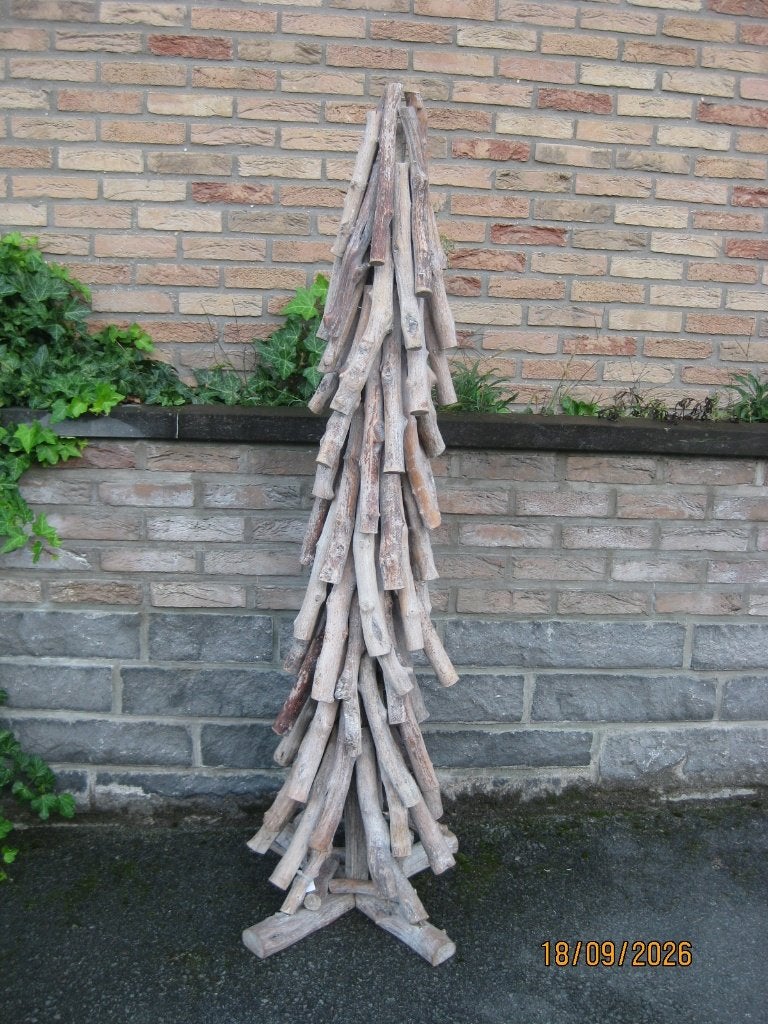 Sapin, Divers, Enlèvement, Neuf