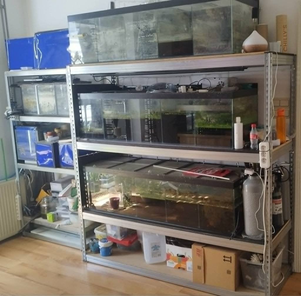 Aquaria en toebehoren, Dieren en Toebehoren, Ophalen, Inclusief deksel, Gebruikt