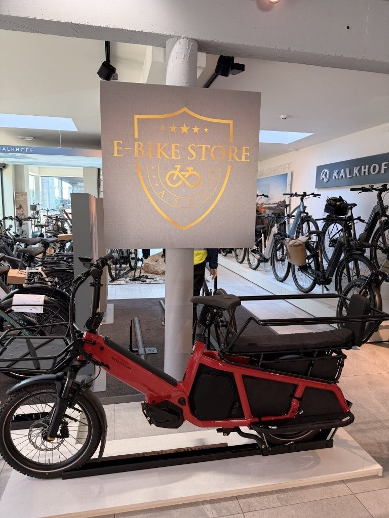 VÉLO DE DÉMONSTRATION Riese & Müller Multitinker2 Vario