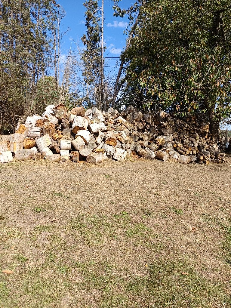 Bois de chauffage sapin, Enlèvement, Autres essences de bois, Bûches