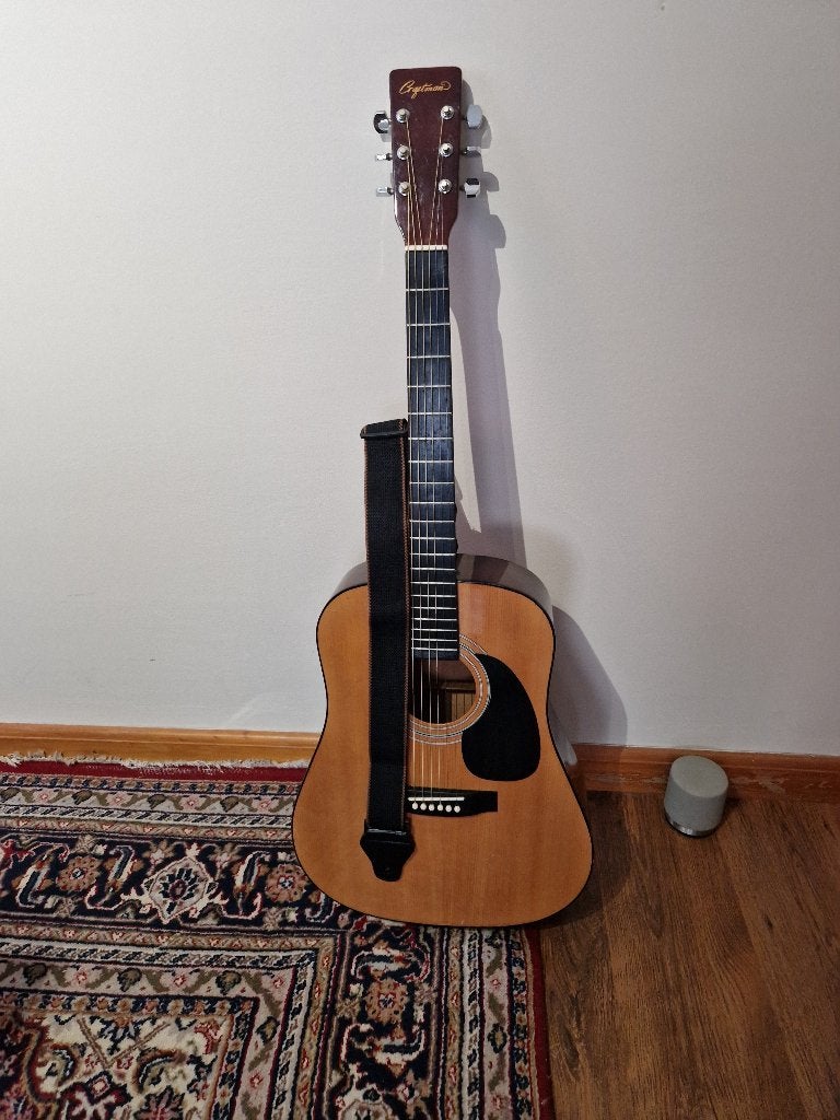 Akoestische gitaar, Ophalen, Gebruikt, Western- of Steelstringgitaar