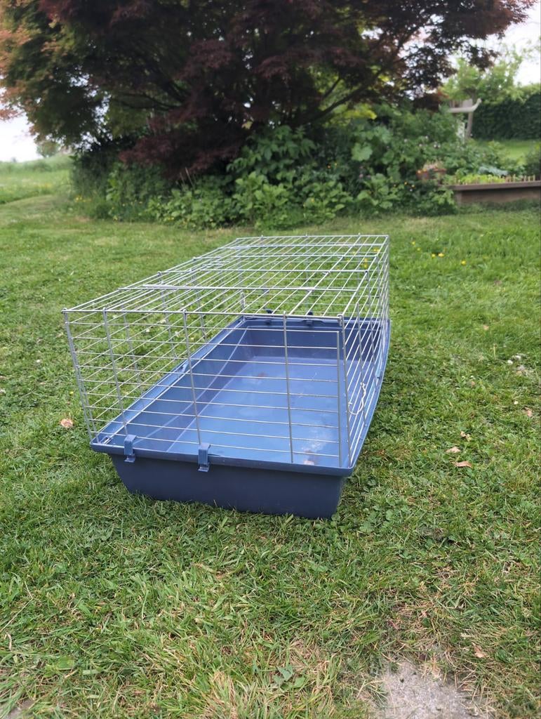 Cage pour cobaye, Enlèvement
