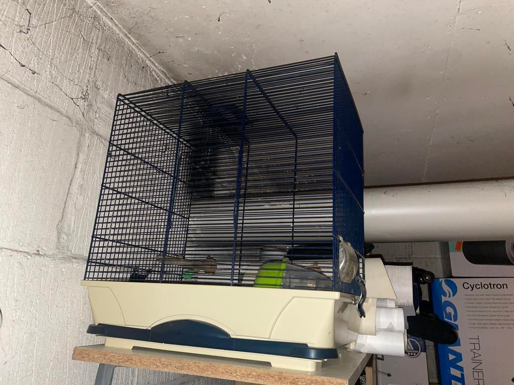 Vogelkooi, Enlèvement, Utilisé, Cage à oiseaux