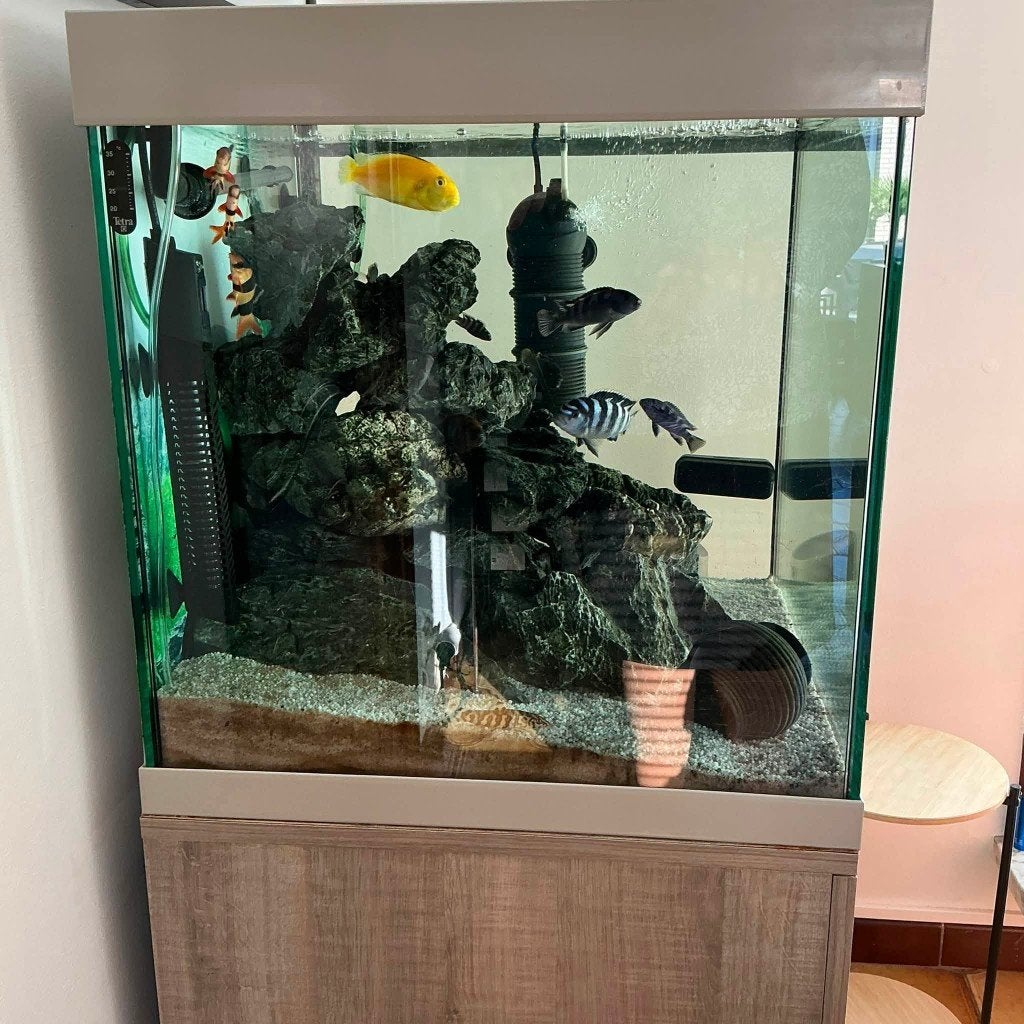 Aquarium met toebehoren, Enlèvement, Accessoires inclus, Utilisé, Eheim