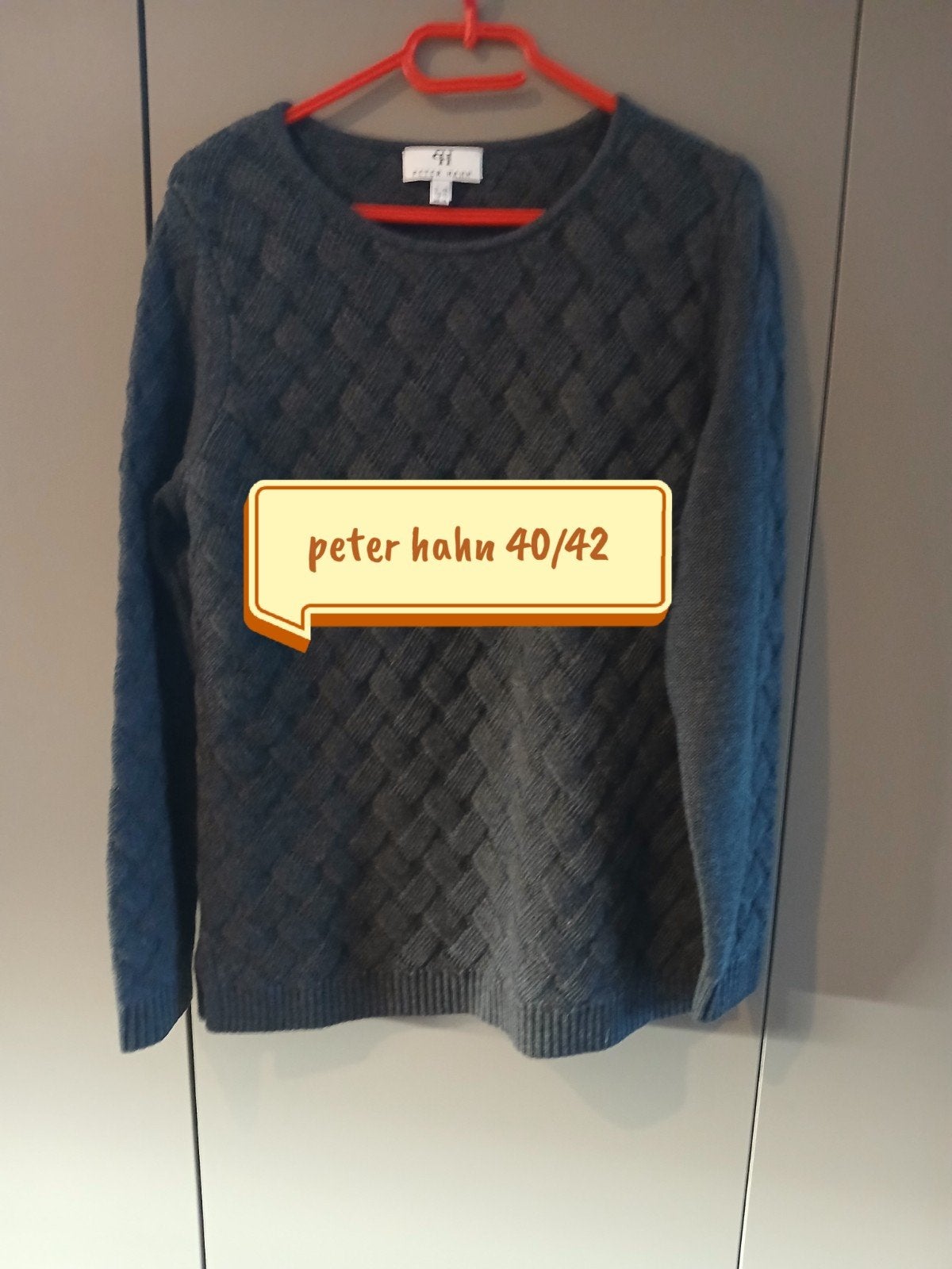 Trui peter hahn 40/42, Vêtements | Femmes, Taille 42/44 (L), Peter hahn, Enlèvement ou Envoi, Comme neuf