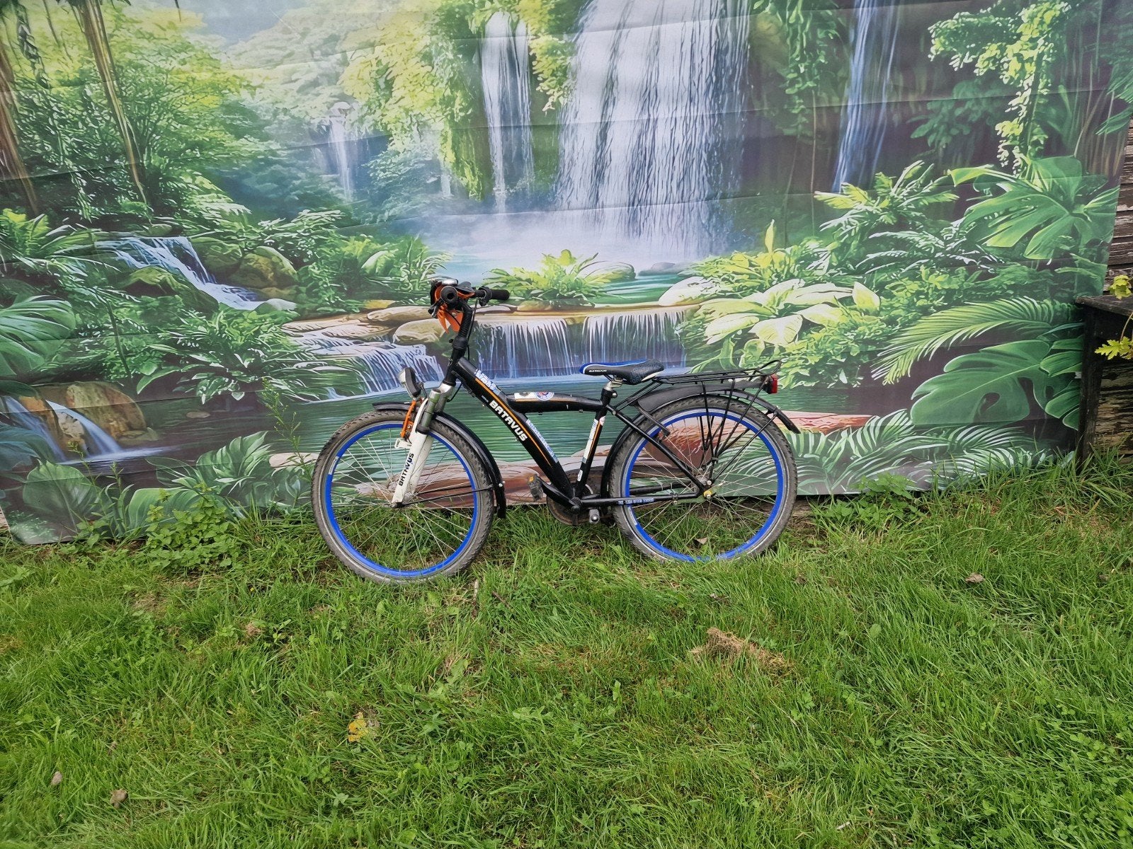 mooi batavus fietsje, Fietsen en Brommers, Ophalen