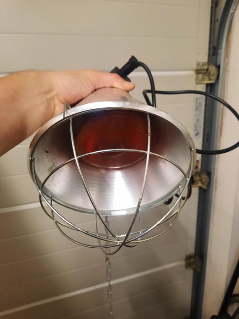 Warmtelamp Puppy.s met extra lamp, Animaux & Accessoires, Autres accessoires pour animaux, Enlèvement