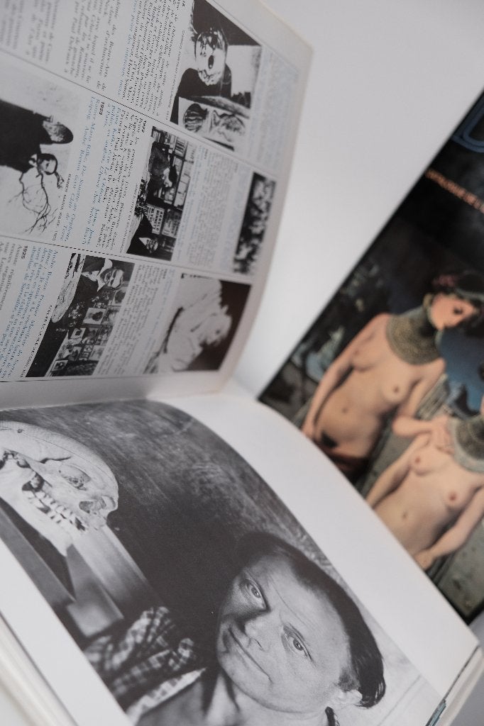 Delvaux – Catalogue de l'œuvre peint 1975, Gelezen, Ophalen of Verzenden, Michel Butor, Schilder- en Tekenkunst
