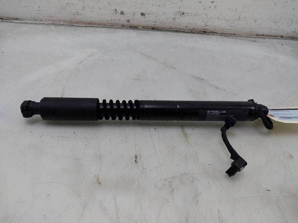 ACHTERKLEP MOTOR Tesla Model X (|106344100C|106344100F|), Dhr. J. Ham, Gebruikt, Achterklep, Overige automerken