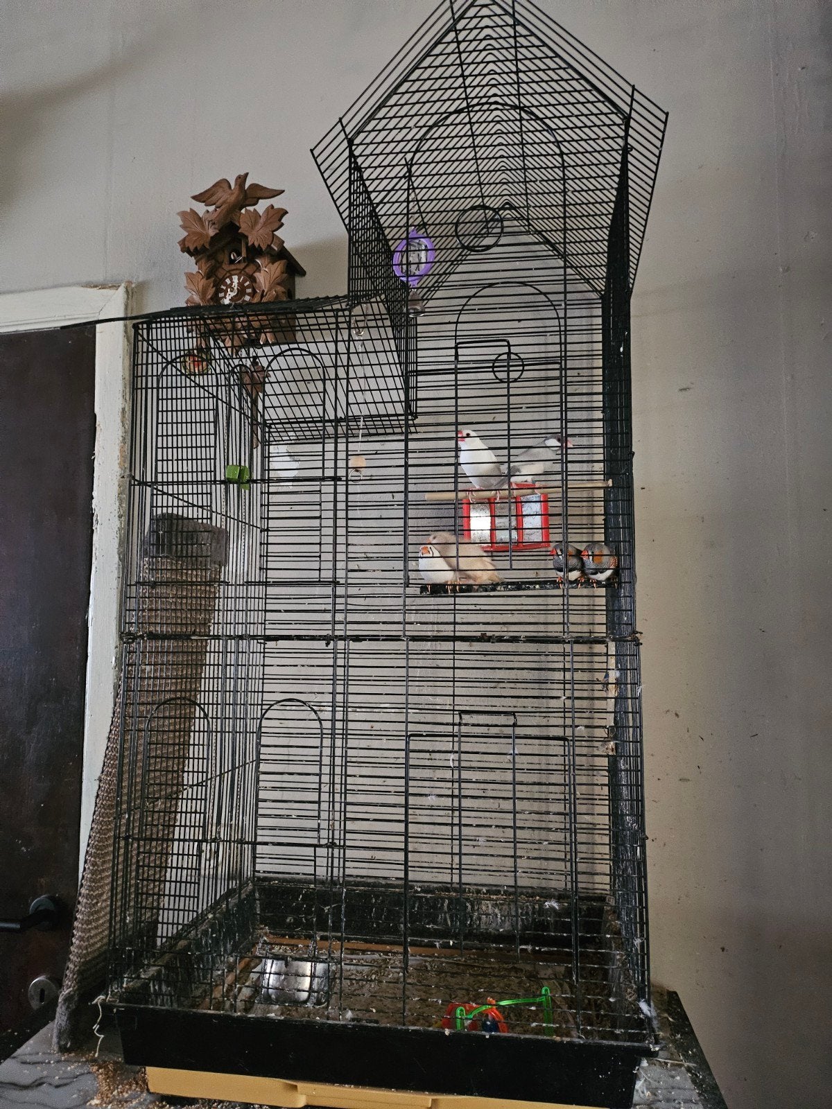 grote vogelkooi met staander, Ophalen, Gebruikt, Metaal, Vogelkooi