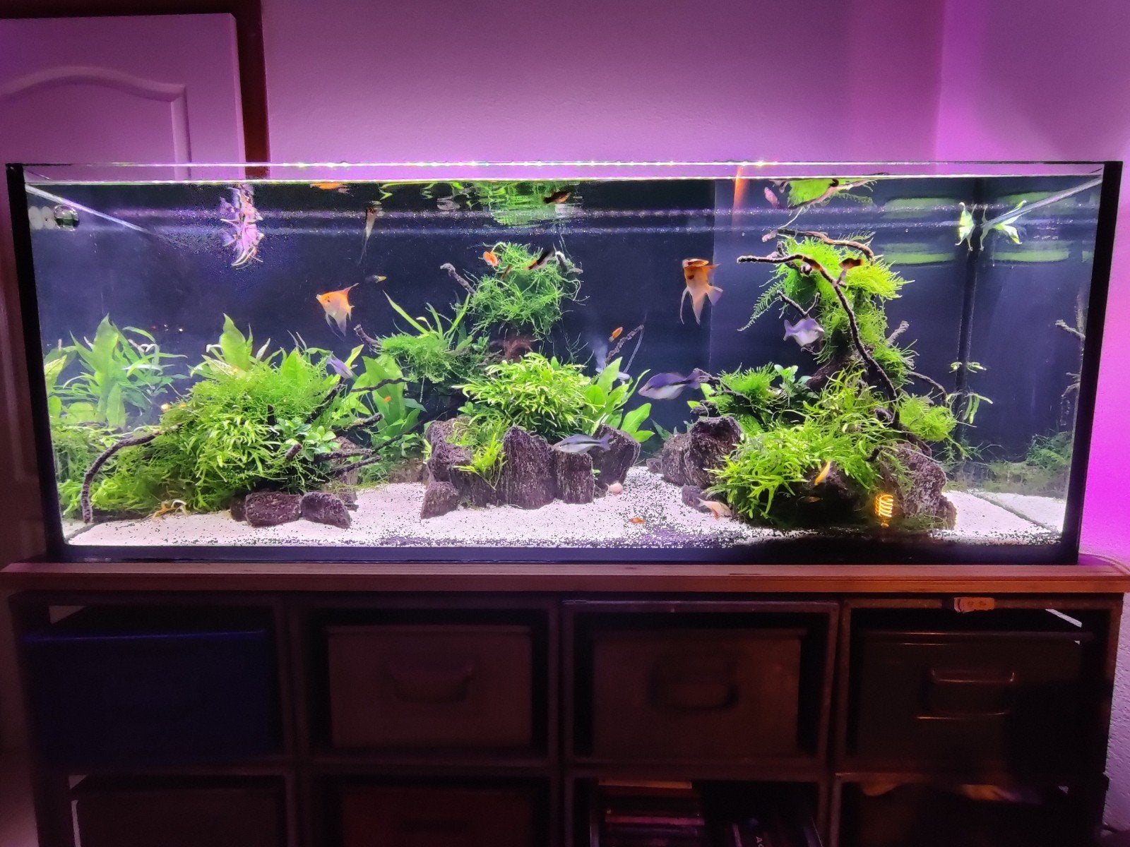 Aquarium rimless 150x55x55 (400L), Dieren en Toebehoren, Vissen | Aquaria en Toebehoren, Ophalen, Inclusief slangen, Overige merken