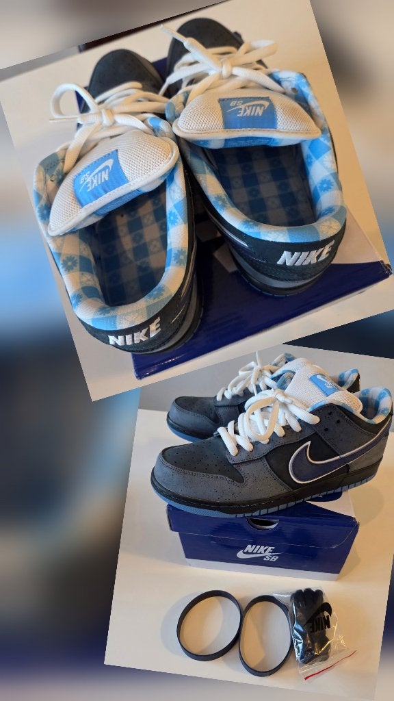 Nike dunk low , nike air max , nike air jordan, Envoi, Nike, Baskets