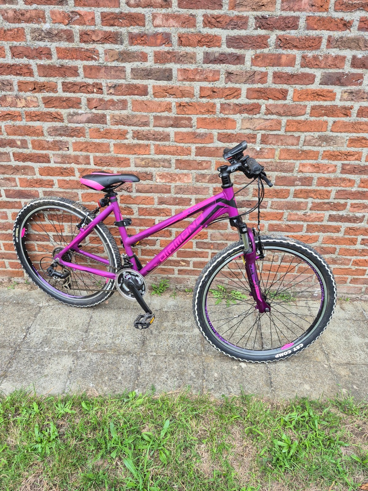 dames mountainbike, Vélos & Vélomoteurs, Enlèvement, Femmes