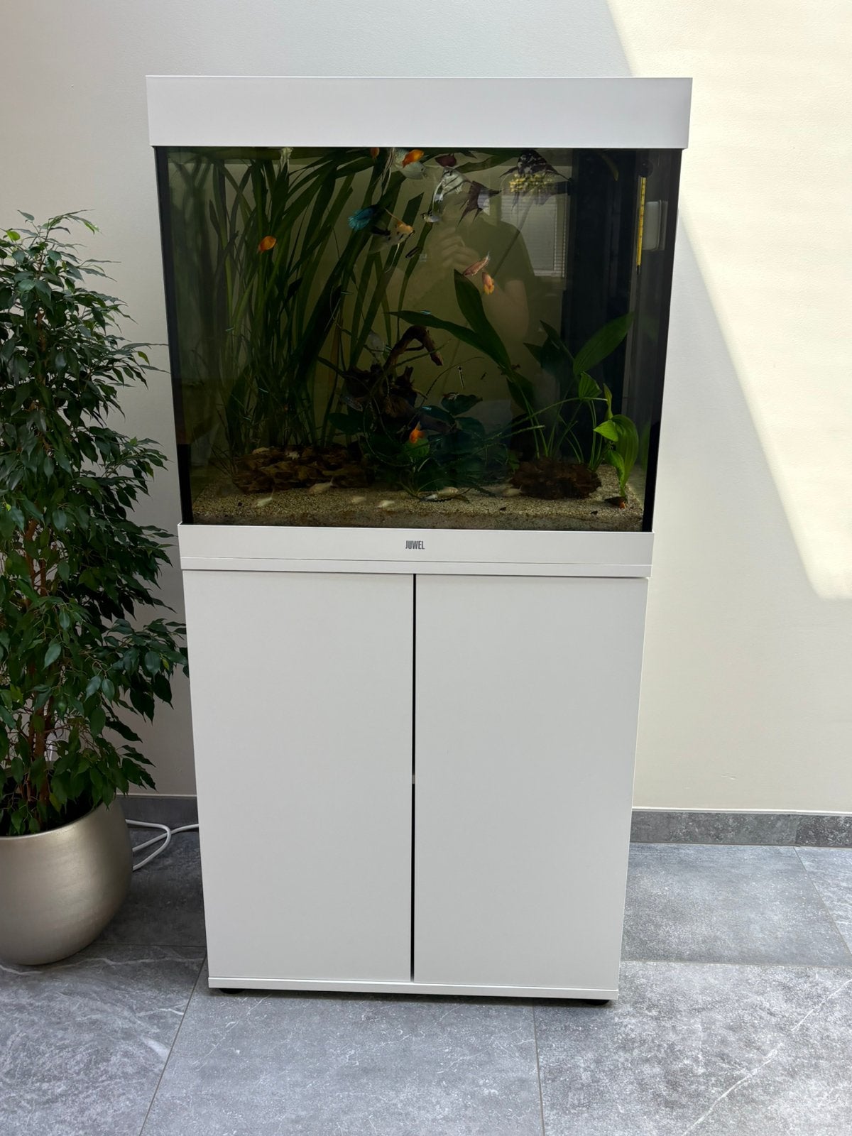 Aquarium 200 liter + gratis 30 liter aquarium, Ophalen, Zo goed als nieuw, Sera
