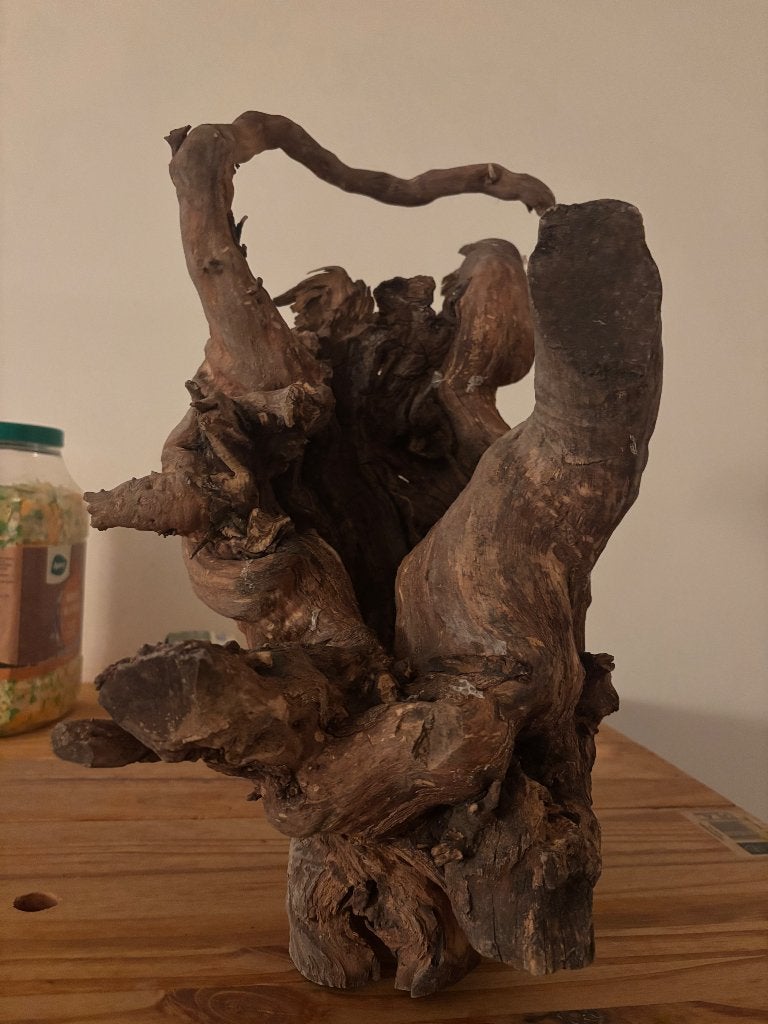 Tronc terrarium, Animaux & Accessoires, Enlèvement, Comme neuf, Branche, Plante, Roche ou Pierre
