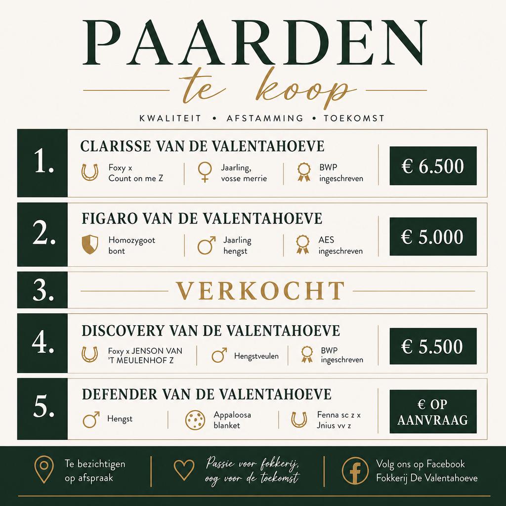 Uit eigen fokkerij,  veulens, jaarlingen, springpaarden, Dieren en Toebehoren