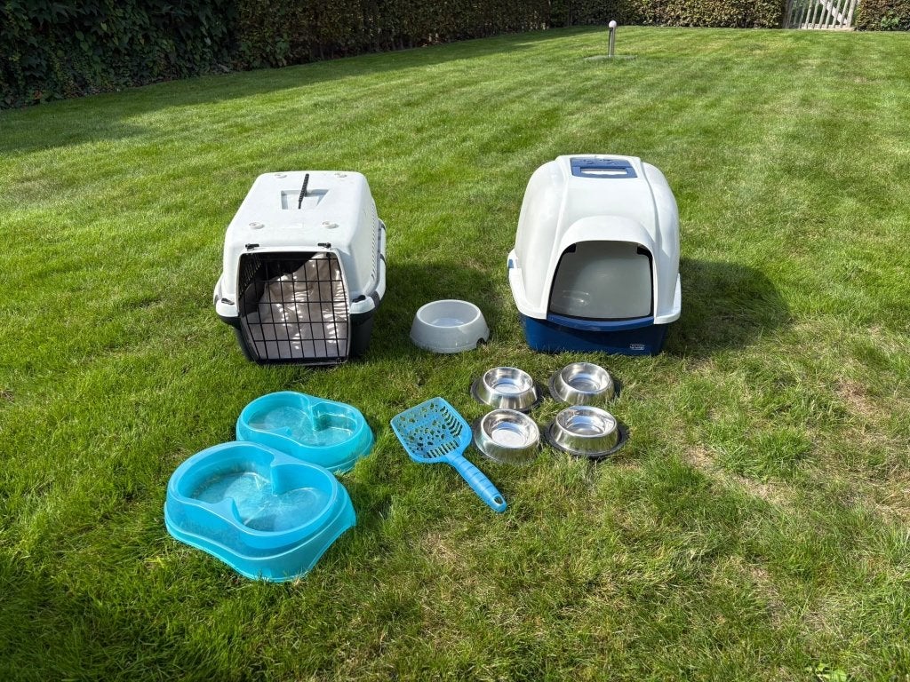 katten reismand, Dieren en Toebehoren, Ophalen