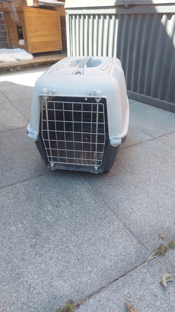 Kattenbench, Dieren en Toebehoren, Ophalen, Gebruikt