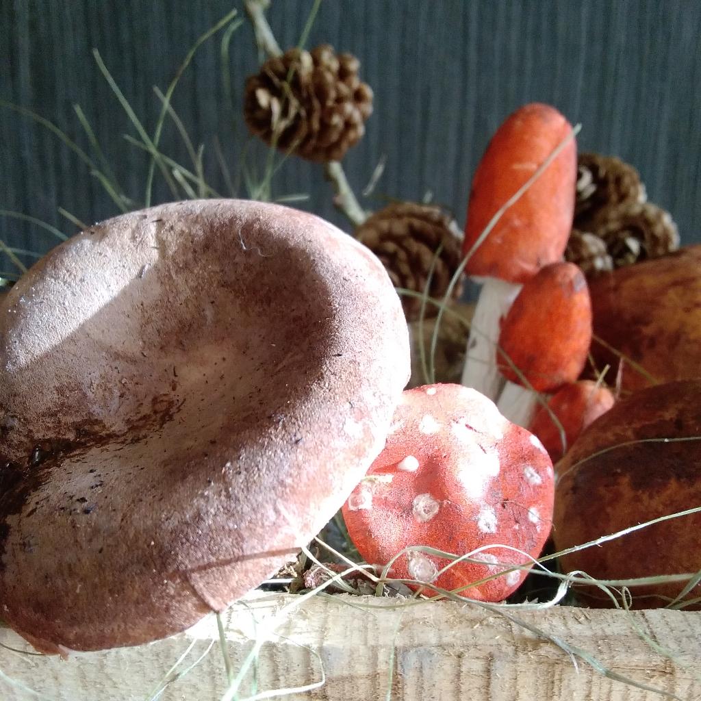 Décoration réaliste en forme de champignons. Papier mâché, Antiquités & Art, Envoi