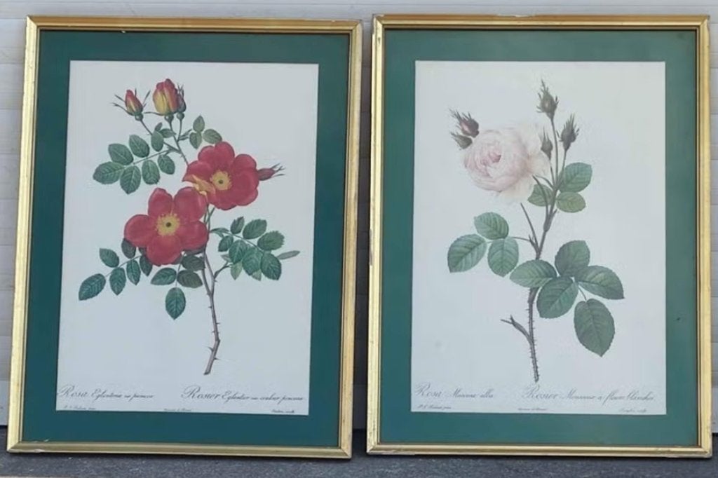 2 lithographie rosier, Ophalen of Verzenden, Lithografie
