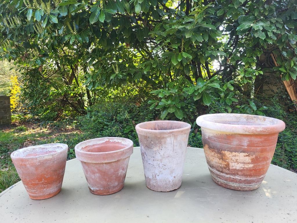Set van 4 oude, verweerde terracotta bloempotjes, Ophalen, Terracotta