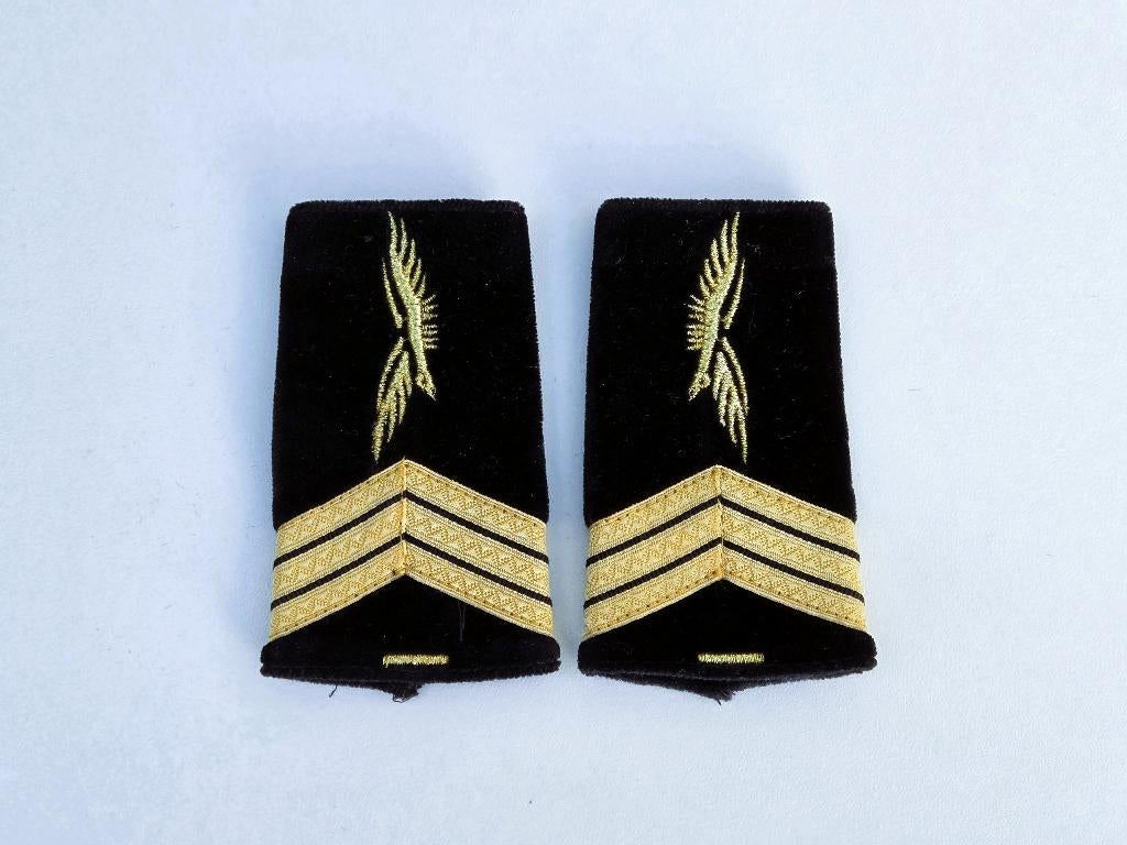 fourreaux épaulettes Armée de l'Air., Ophalen of Verzenden