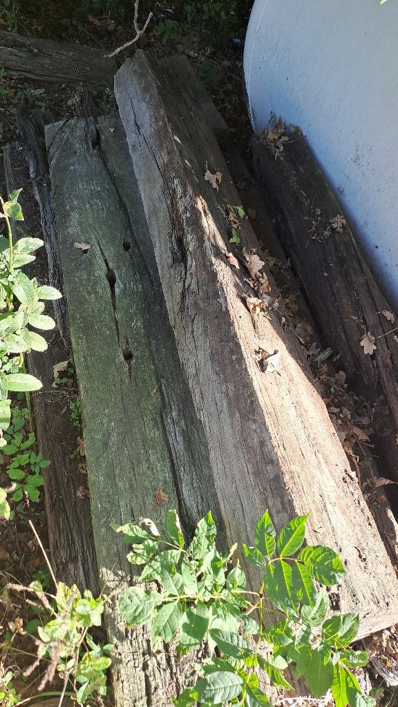 treinbielzen, Tuin en Terras, Ophalen