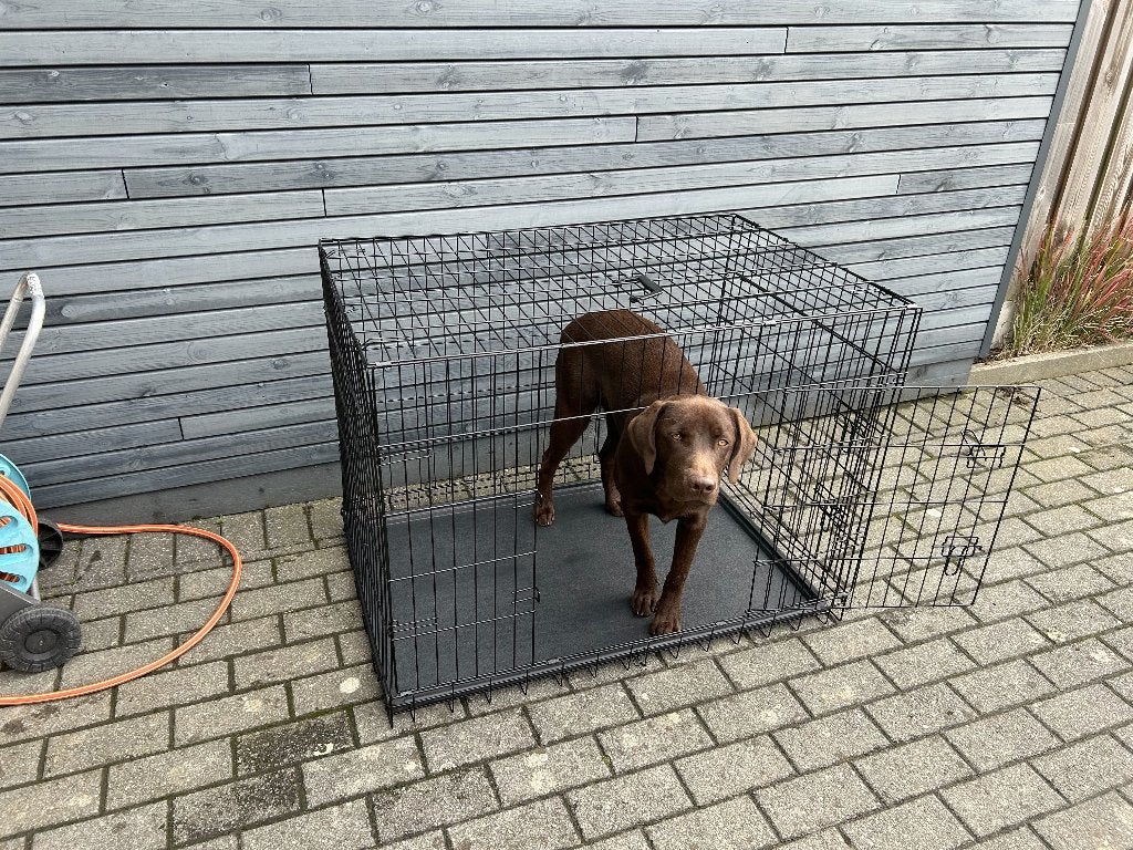 Bench hond XXL opvouwbaar, Animaux & Accessoires, Enlèvement, Comme neuf