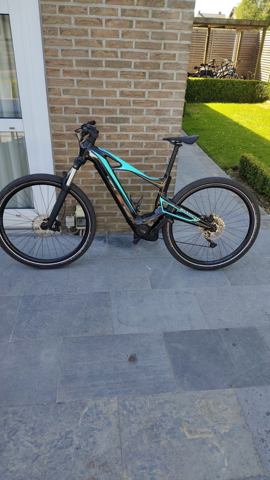 E.mtb Bianca vertic x, Ophalen