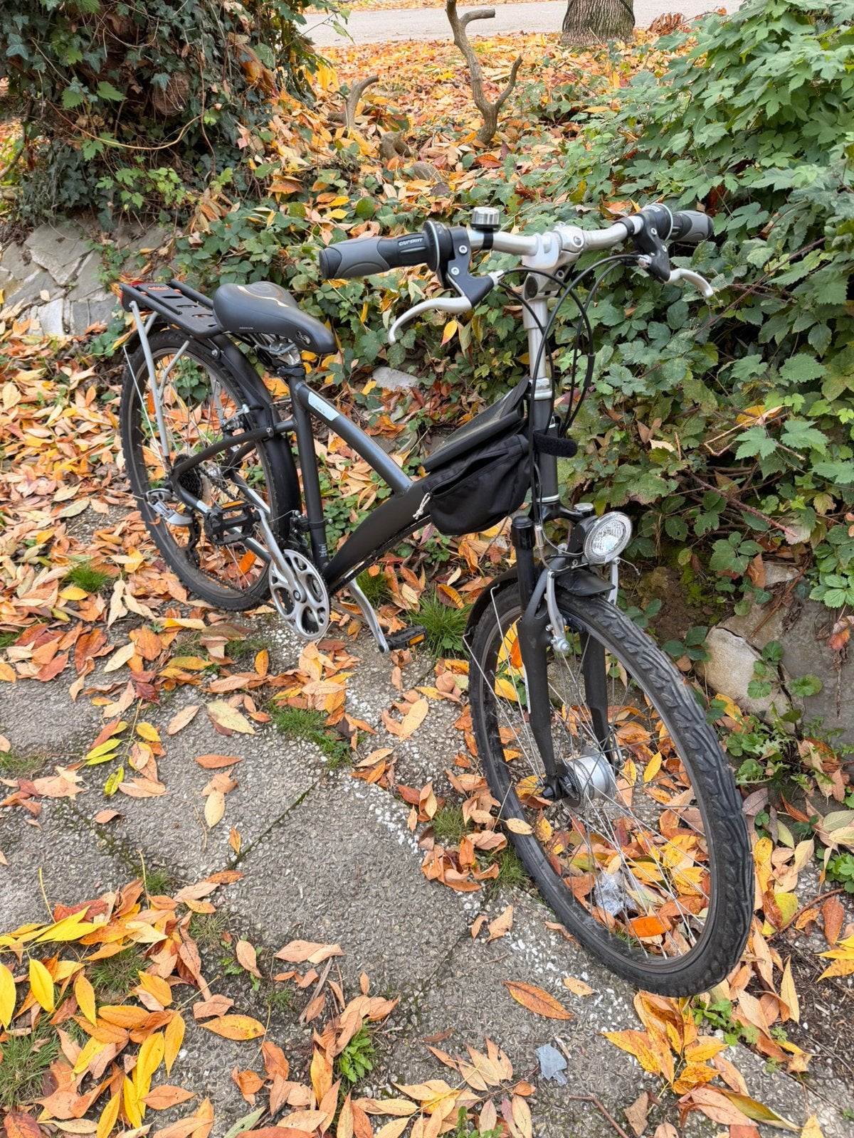Velo Decathlon Daily en bon etat, Vélos & Vélomoteurs, Enlèvement, Utilisé