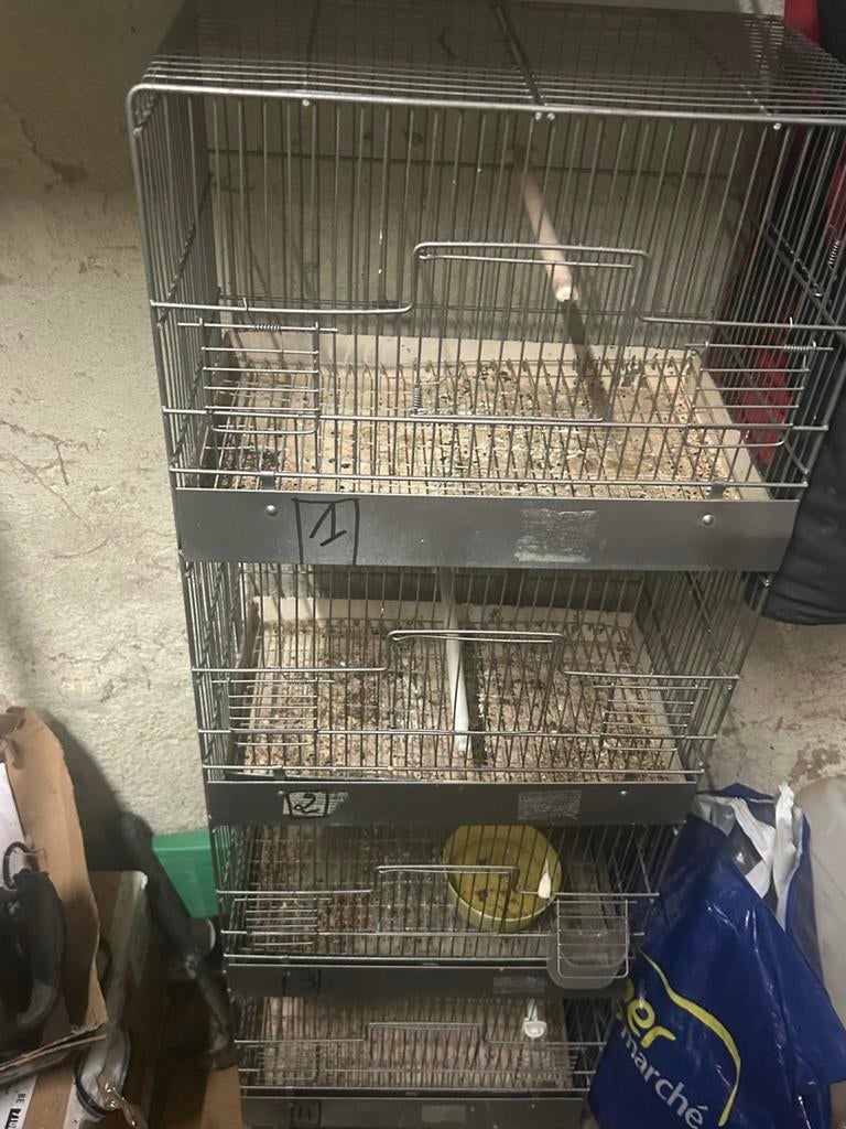 cage d’élevage et ded couple canaris malinois, Enlèvement ou Envoi, Comme neuf, Aluminium, Cage d'élevage