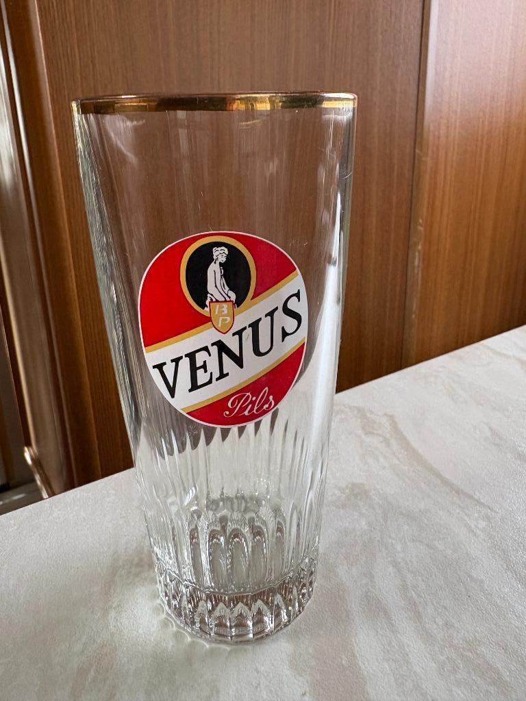 Venus bierglas brouwerij Aux Progrès, Enlèvement ou Envoi, Comme neuf, Verre ou Verres, Autres marques