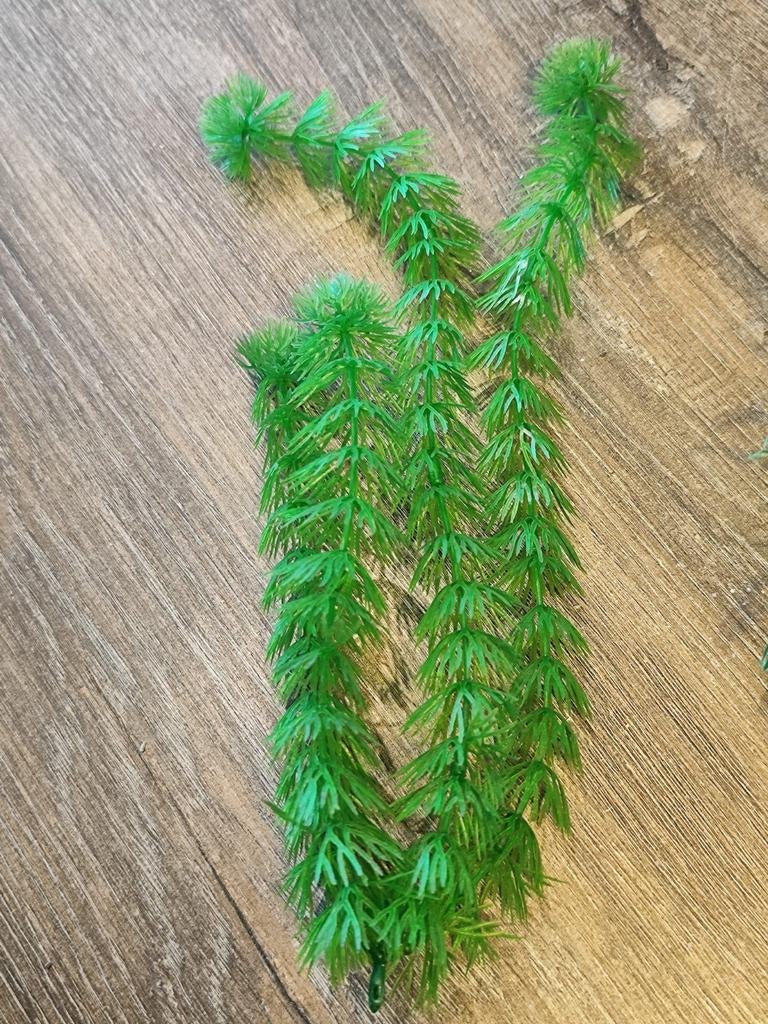 Plastieken planten en betta rustplaats, Ophalen of Verzenden, Zo goed als nieuw
